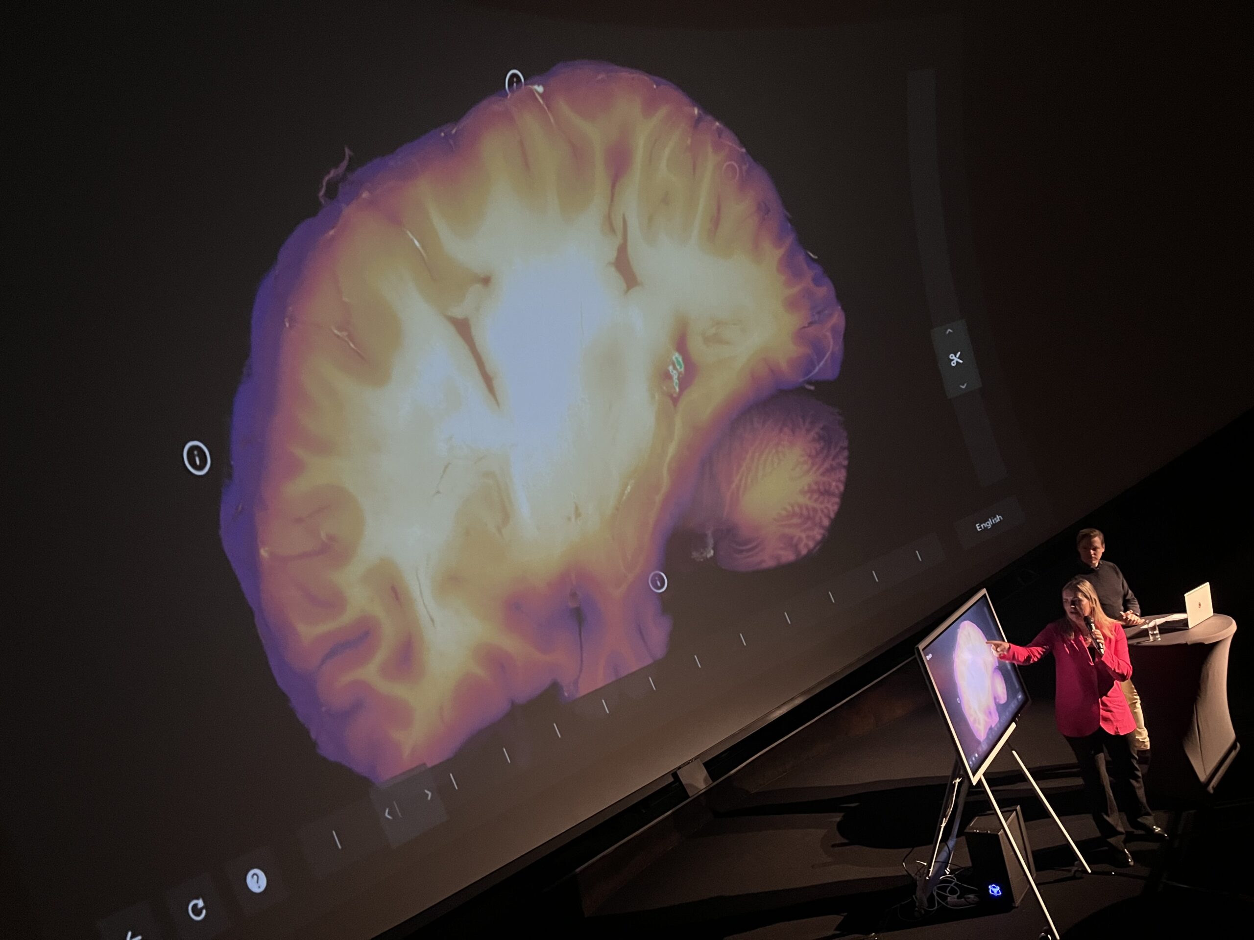 Isabelle Hachette, VD på Interspectral, och Anton Lilja, Verksamhetsledare på Visualiseringscenter C, visar upp hjärnan i 3D.