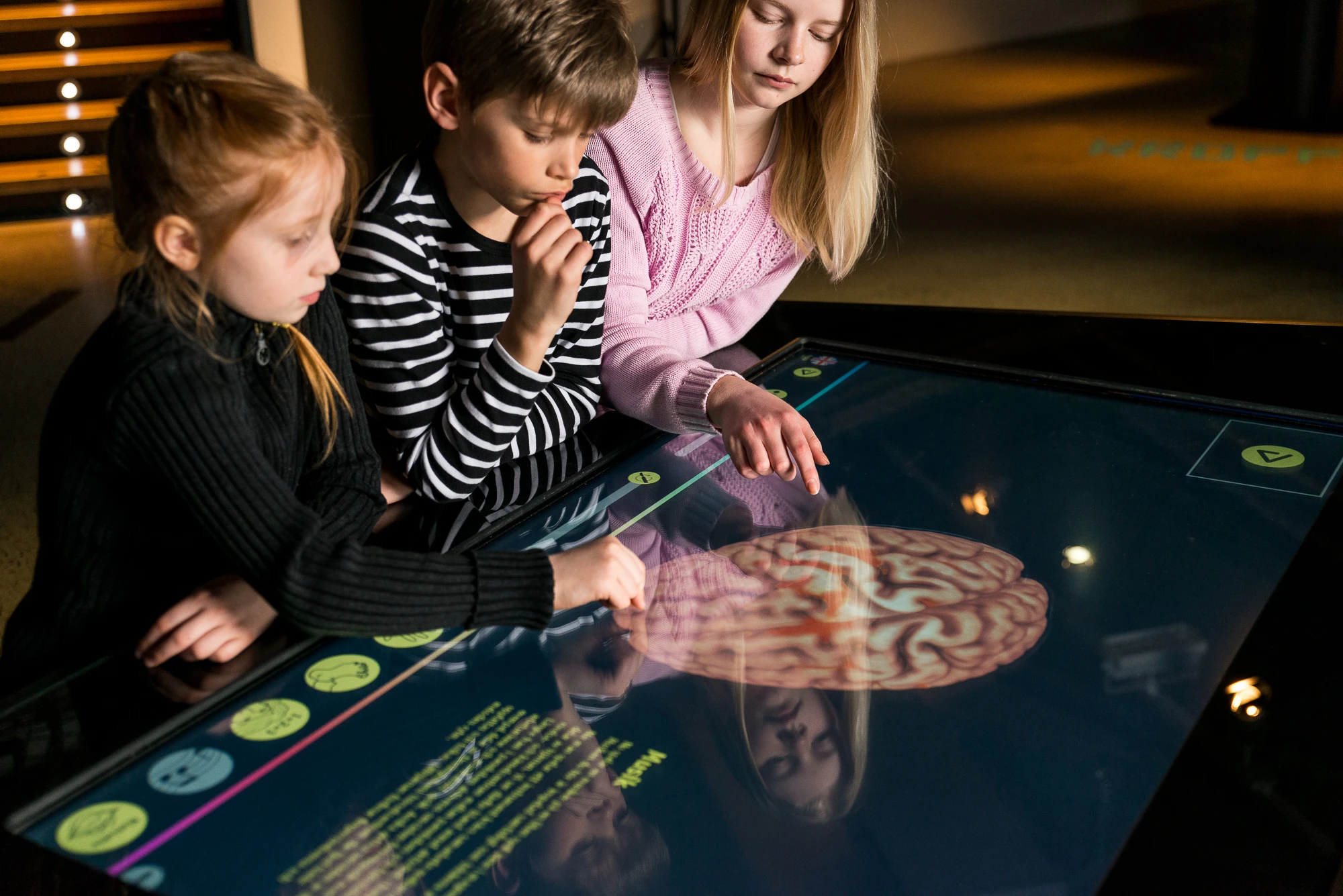 Barn använder en interaktiv skärm och kollar på hjärnan