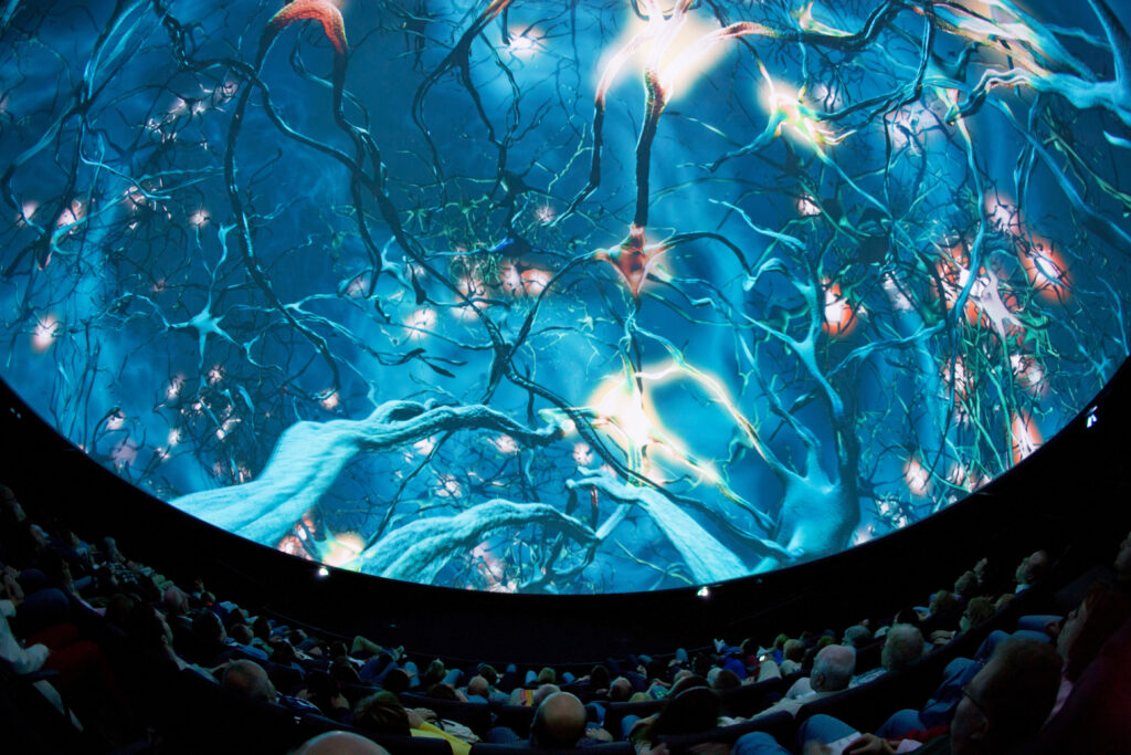 The dome theatre shows the nervous system
