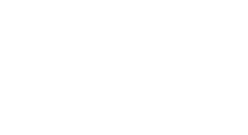 Official selecton Fulldome Festival BRNO
